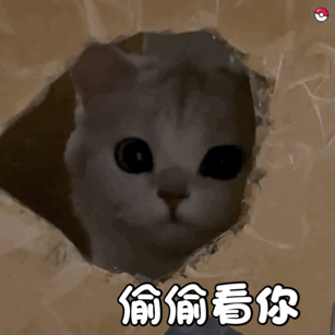 小猫咪系列表情包二