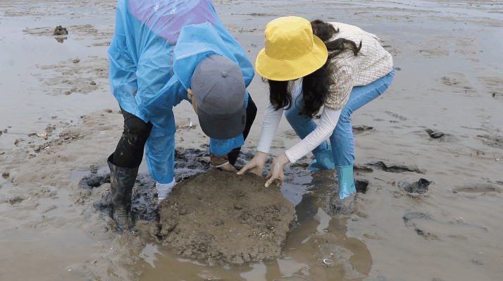 攻略阳江赶海老司机教你轻松抓获小海鲜