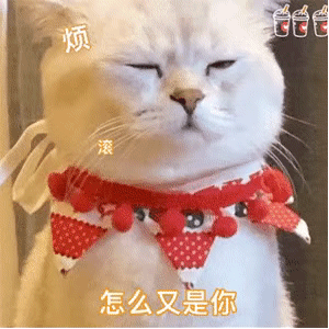 表情包 | 初次见面,接个吻吧