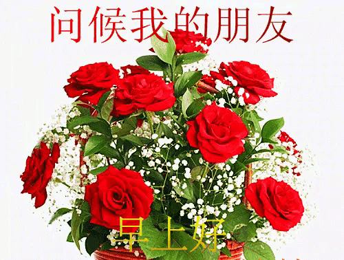 一声问候一颗真心一句祝福一片诚心