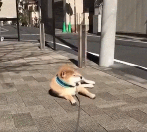 没有预告的突然停下给你意外的惊喜今天被你带回家都对不起我一身