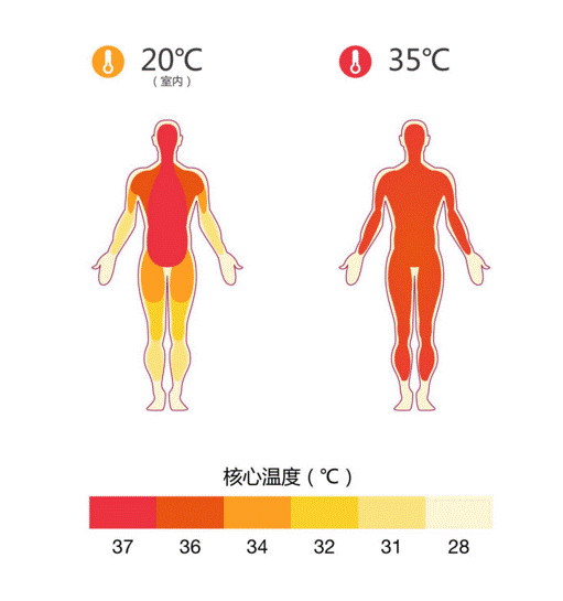 平均 体温