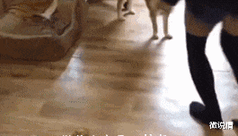 看前面孩子的眼神就知道,这孩子应该是饿了!