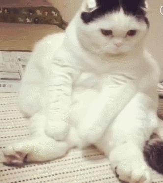 女施主,别这样,我是有原则的人! 14 不抗拒,让他亲一口就完事了?