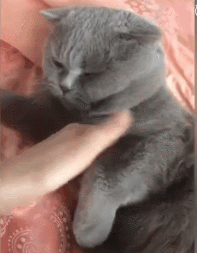 18大胆刁民,竟敢离朕这么近,还不快滚远点(`Δ )不.