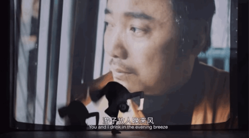 二度担任谋女郎,刘浩存不