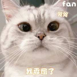 wb:王叉叉-wxx&别烦小淞