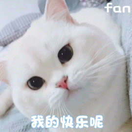 第93期聊天斗图必备表情包