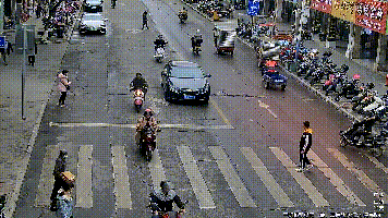 不礼让行人平果多辆车被曝光