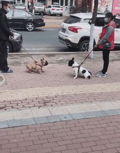 搞笑gif趣图小男孩是个高手这么轻易就躲过小女孩的偷袭
