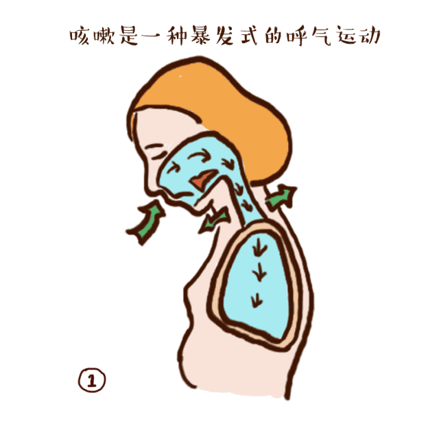 咳咳咳别看都是咳嗽多的是你不知道的事