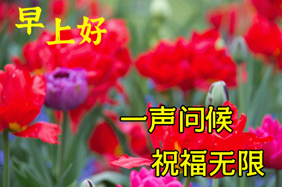 最新漂亮夏天早上好鲜花图片带字,夏天最美风景早安带