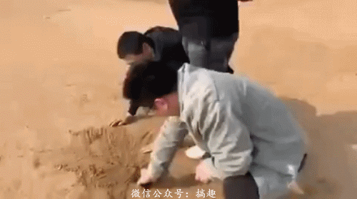 什么鬼走别人的路让别人无路可走有那味儿了现在这年轻人卧槽!