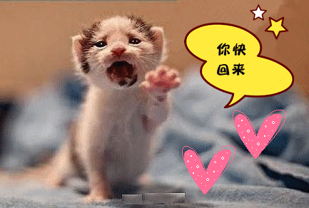 "五一,你快回来!"好想大声喊出这几天上班状态如何?