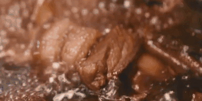 母亲的红烧肉