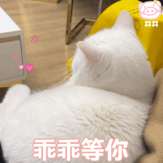 超可爱的女生必备表情包