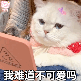超可爱的女生必备表情包