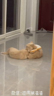 搞笑gif段子游戏达人要从小培养