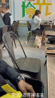 搞笑gif段子游戏达人要从小培养