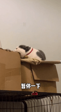 一地的猫猫虫可爱化了