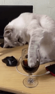 一地的猫猫虫可爱化了