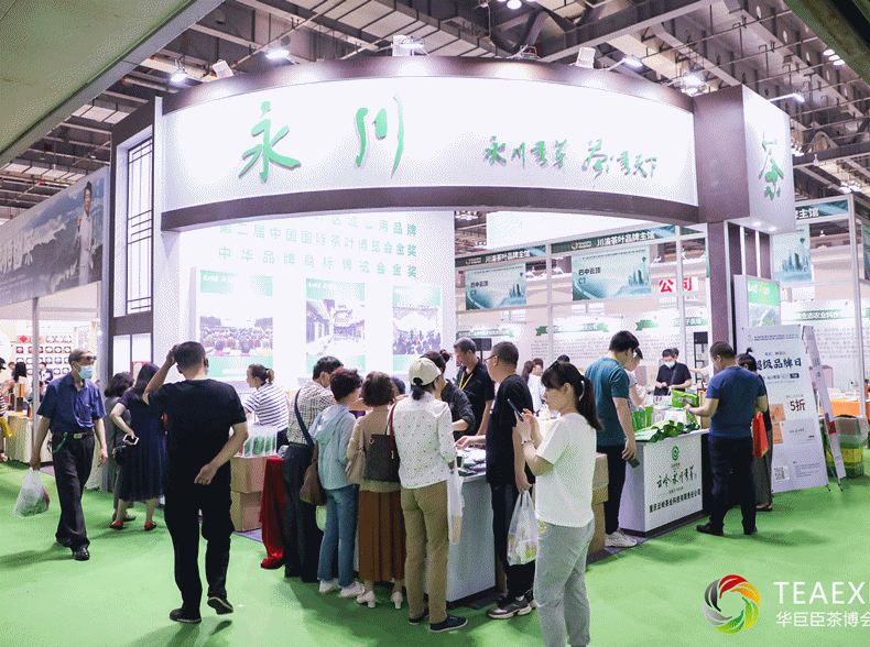 nba神迹第14期，nba神迹大集合