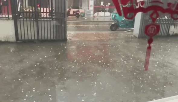 青田景宁龙泉缙云…下冰雹了,网友:这么大冰雹没见过!
