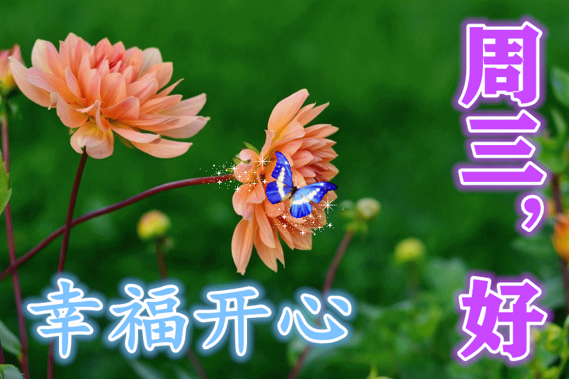 9月1日周三清晨早上好问候祝福动态表情图片 最美早晨