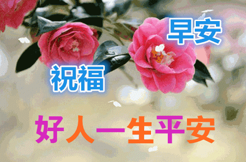 8月25日清晨早上好问候祝福动态表情图片 早安问候语及暖心的话