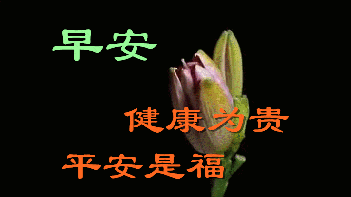 8月25日清晨早上好问候祝福动态表情图片 早安问候语及暖心的话