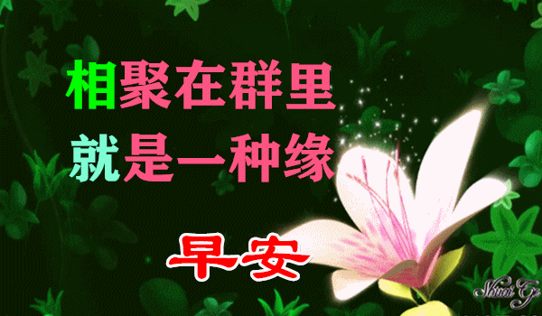 清晨唯美的早上好早安祝福图片带字,群发非常漂亮的鲜花早安图片带字