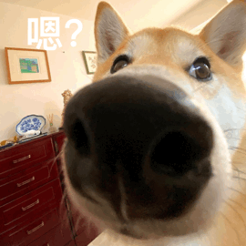 前天0企鹅号搞笑生活荟16:5905/17