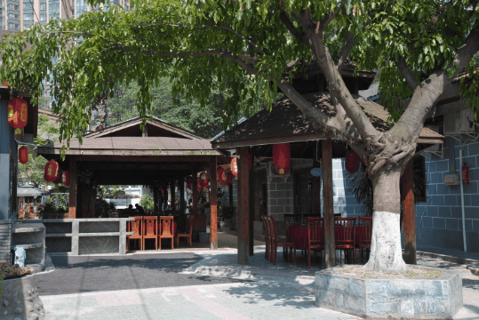 创建天府旅游名县丨温江这几家超好吃农家乐来发现未知的风景