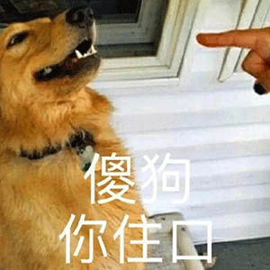 沙雕表情包:超可爱沙雕热门表情包