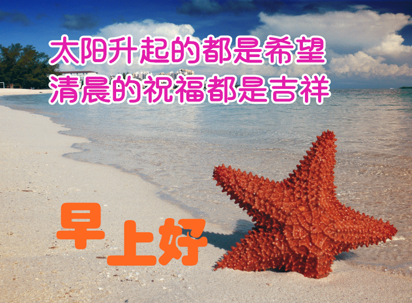 最美早安问候祝福语图片带字温馨漂亮早上好问候动态表情图片带字