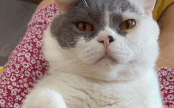 就是 孩子从这回去就不太对劲, 经常歪着嘴流口水,眼睛斜着看人