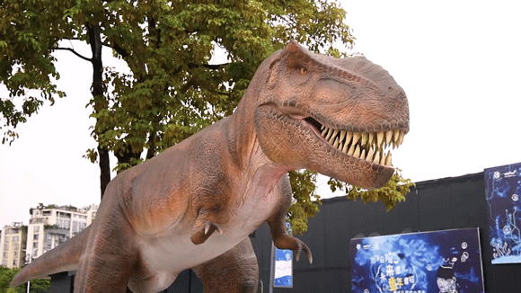 沈阳融·inbox集装箱小镇侏罗纪恐龙园开园啦!