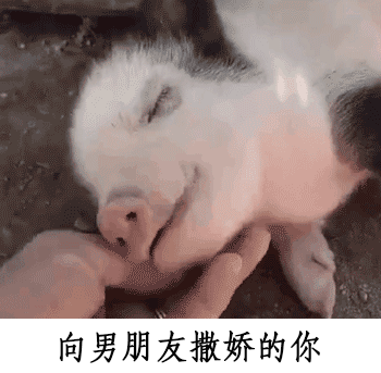 哈哈哈哈哈哈哈哈哈哈▼亲爱的爸爸,这个可以倒是可以1 8不学车了教练