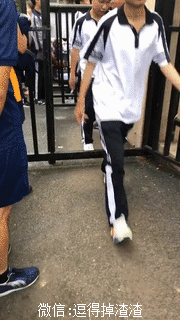 搞笑gif段子: 铲屎的,等我出来你就完蛋了_腾讯新闻