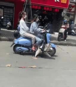 搞笑动图原来这才是名副其实的舔狗