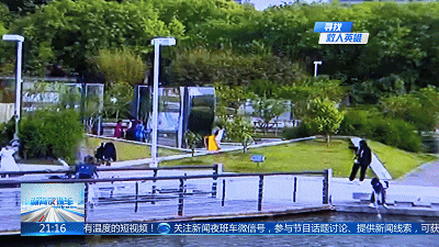 忘了自己压根不会游泳 到了水里任女士才反应过来只能在湖水里挣扎