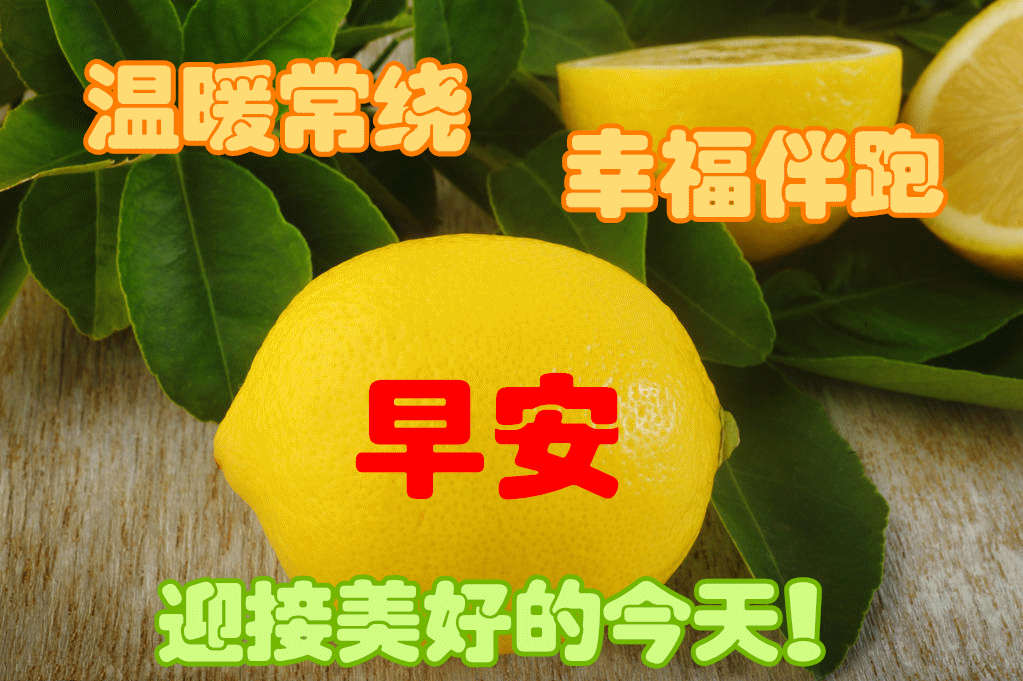 8张免打字就可以聊天的早安图片 创意唯美夏天早上好问候动画表情图片