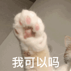 喵星人征服不了人类不存在的