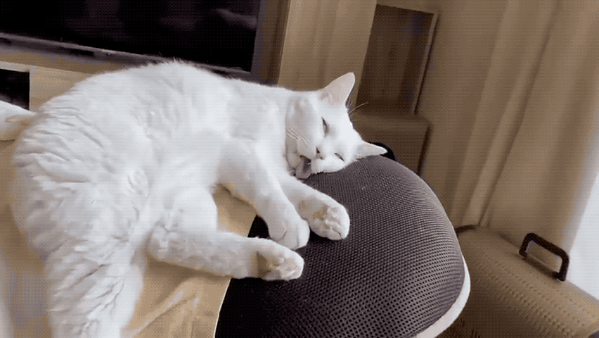 852_480gif 动态图 动图