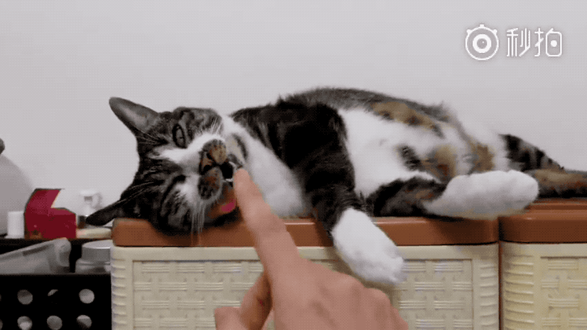 852_480gif 动态图 动图