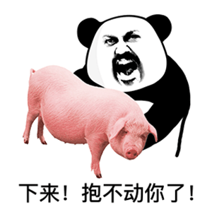 表情包宝我怎么看不到你朋友圈了