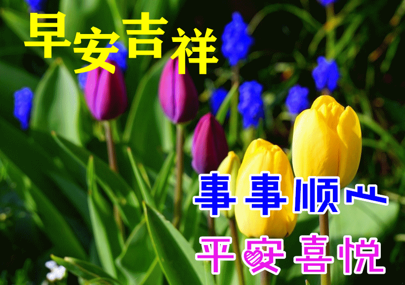 微信漂亮的早上好带字早安祝福图片,早安问候祝福语