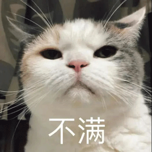 超可爱的沙雕猫咪表情包第二期