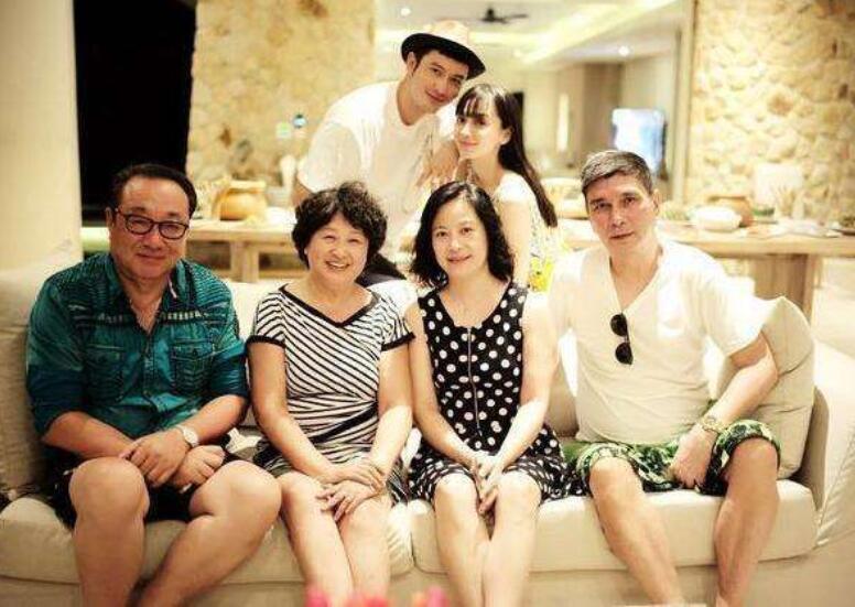 媳妇不好当,杨颖满是整容代孕传闻,黄妈妈犀利