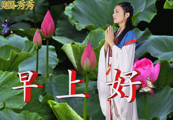早上好朋友,大家早上好问候动态表情图片,最美早安语